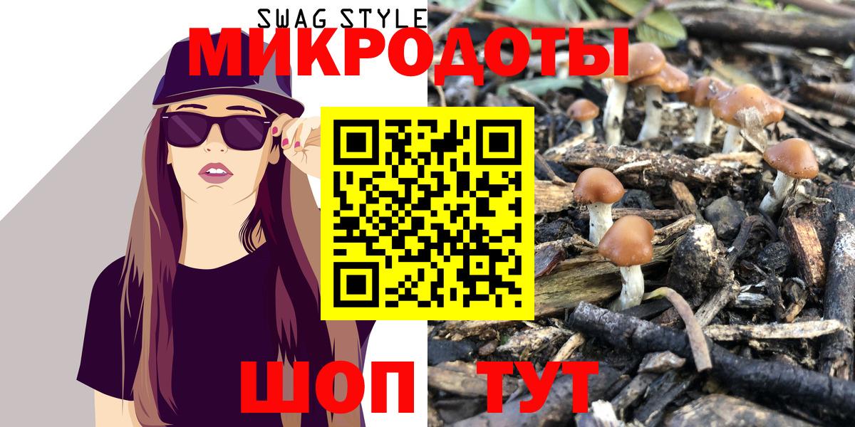 купить наркоту  Вход с VPN  Сунжа  Псилоцибиновые грибы Psilocybe 