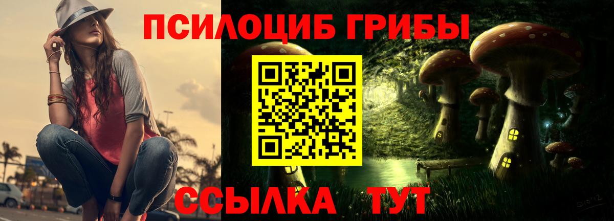 Галлюциногенные грибы прущие грибы Сунжа