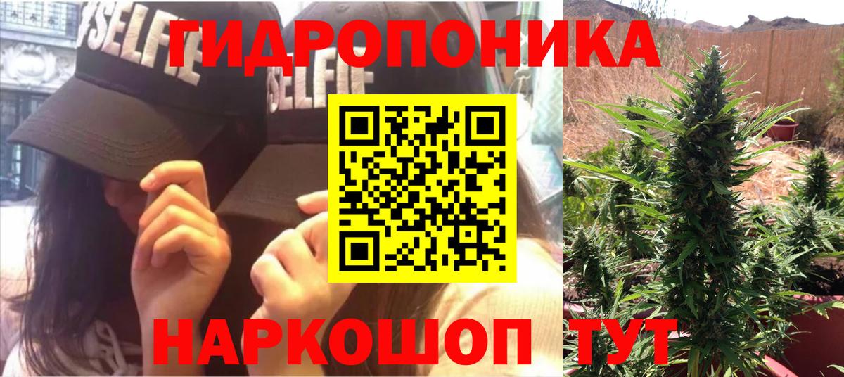 Марихуана сатива  Вход с VPN  Бошки марихуана тримм  Канабис VHQ  Шишки марихуана планчик  Сунжа 